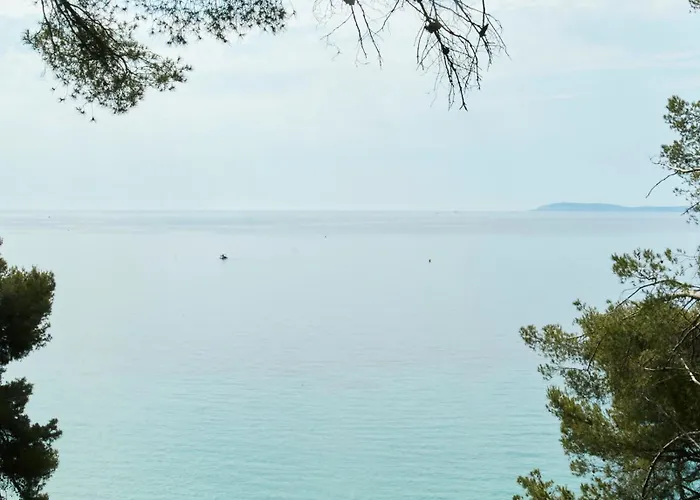 酒店 加州酒店 2*